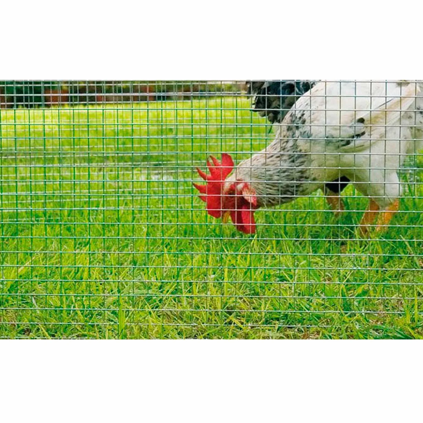 Acan Tradineur Rollo de Malla Metálica Galvanizado Cuadrada 1,5 x 3 m Alta Resistencia Cercado