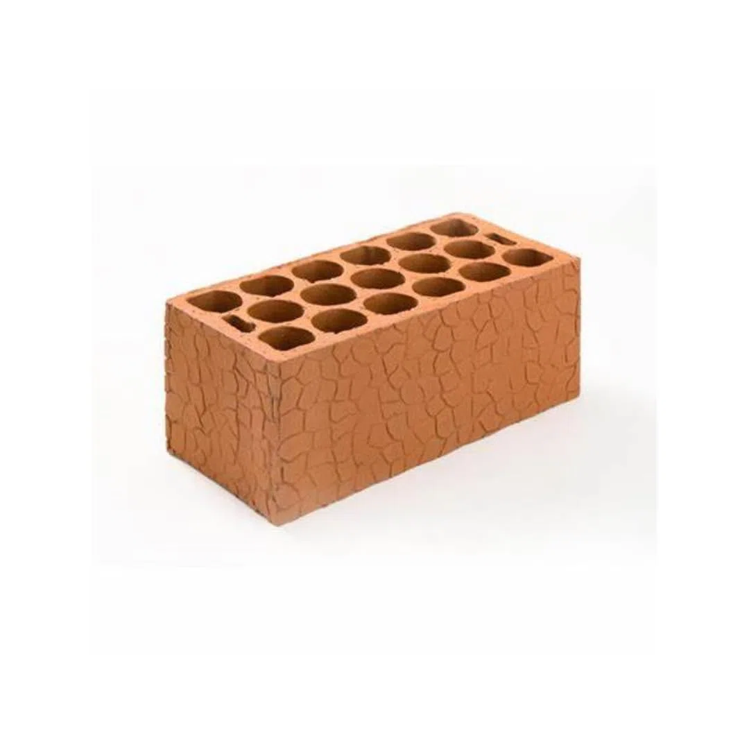 Pack 6 Ladrillos Toscos del 10 - Ladrillo Cerámico de Arcilla Cocida 24x11x10 cm - Alta Resistencia para Obras, Reformas y Construcción