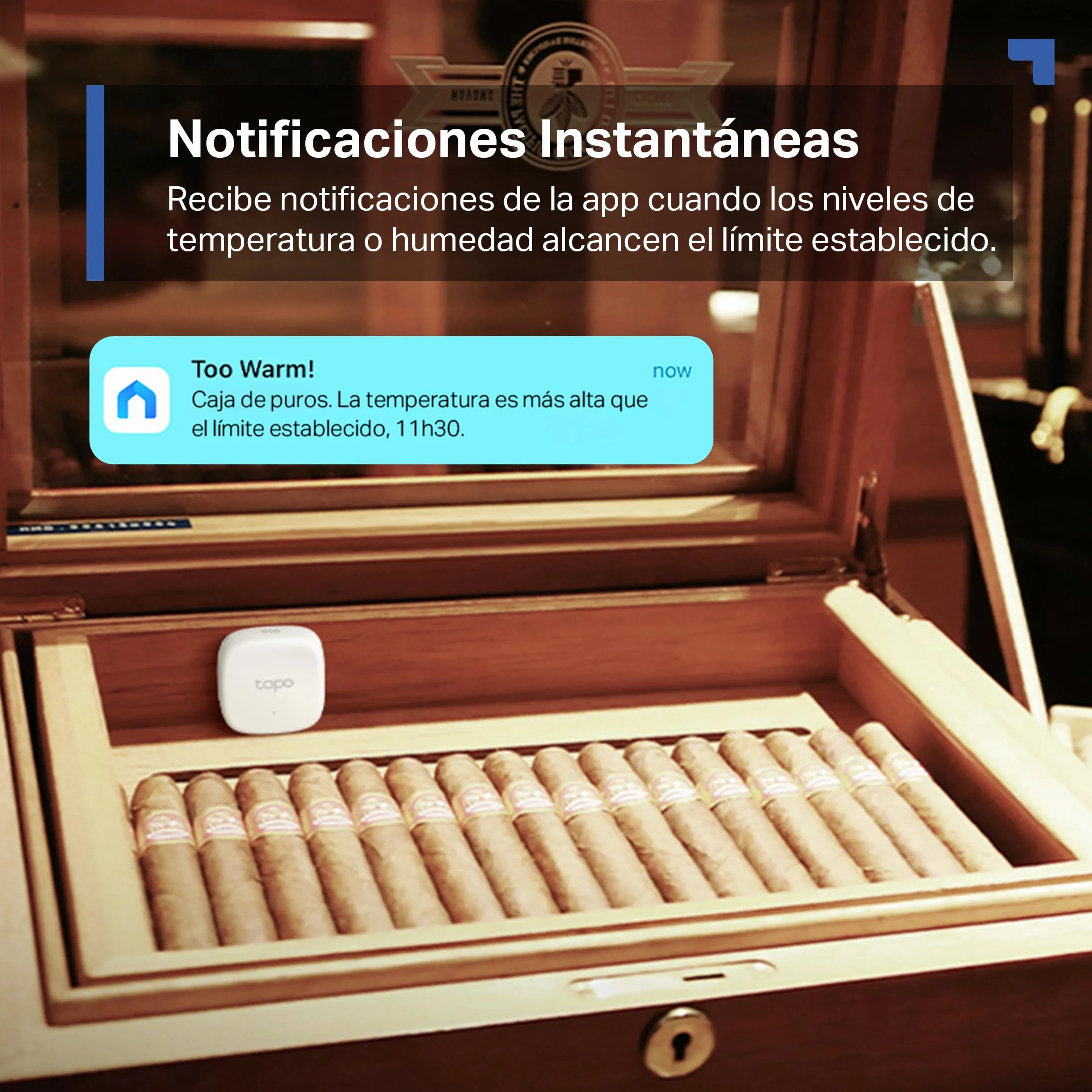Tapo TP-Link T310 Sensor de Temperatura y Humedad WiFi Inteligente, Alta Precisión, Control a Distancia, Bateria Larga Duración (Requiere Hub)