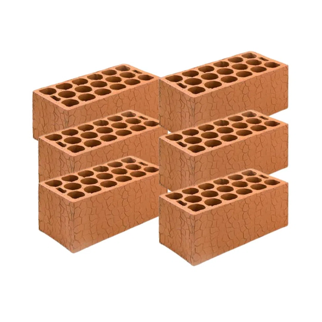 Pack 6 Ladrillos Toscos del 10 - Ladrillo Cerámico de Arcilla Cocida 24x11x10 cm - Alta Resistencia para Obras, Reformas y Construcción