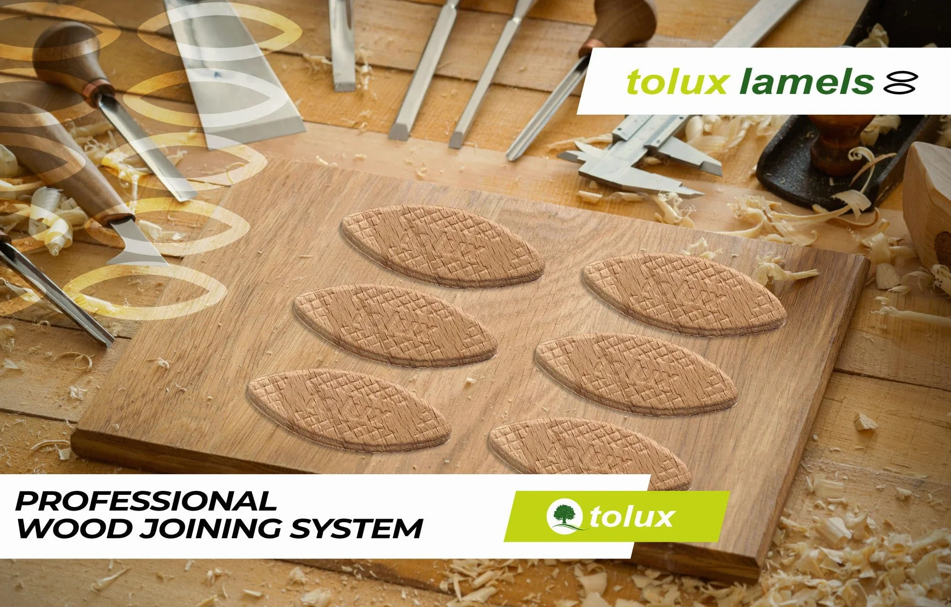 Tolux Galletas de Madera Tamaño Número 20, Pack de 200 Piezas, Lamello y Ensamble, Clavijas de Madera de Haya de para Carpinteros y Proyectos de Bricolaje